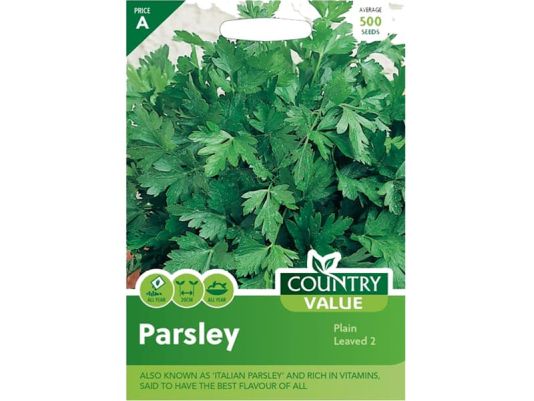 Parsley 'Plain Leaved 2' Seeds