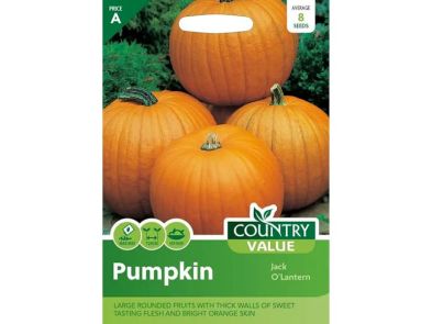 Pumpkin 'Jack O'Lantern' Seeds