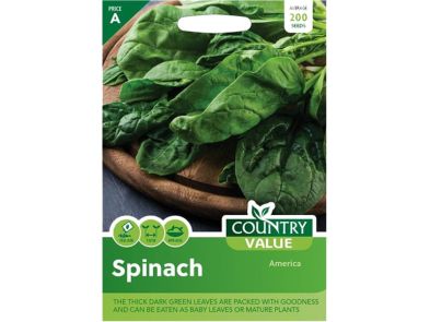 Spinach 'America' Seeds