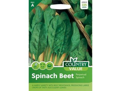 Perpetual Spinach (Spinach Beet) Seeds