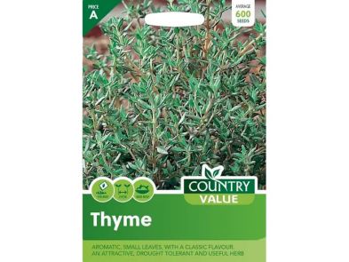 Thyme Seeds