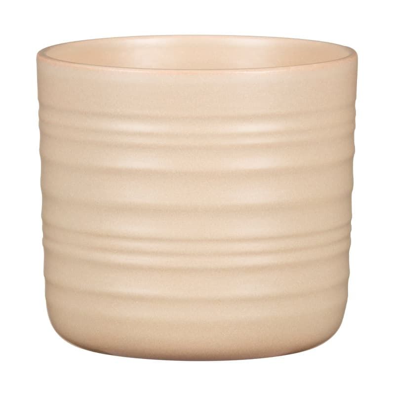 Cover Pot Dry Reed 12cm