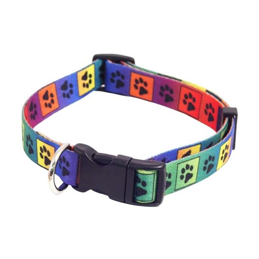 Dog Collar Multicolour Paw 10-14"