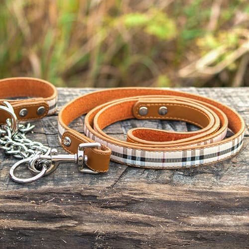 Dog Collars, Harnesses & Leads