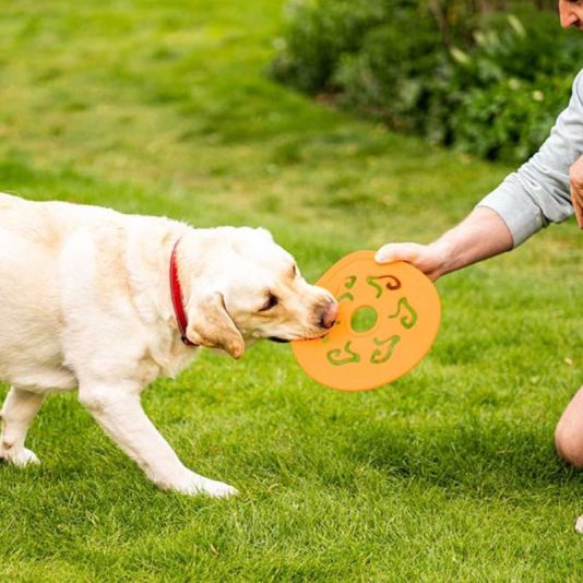Dog Spinner Orange 25cm