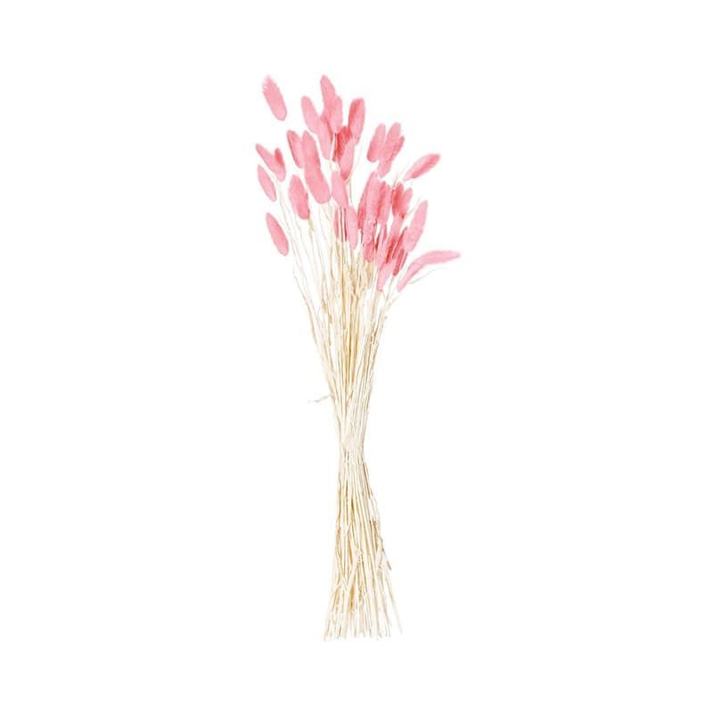 Dried Bunny Tail Bunch of 40 - Pale Pink