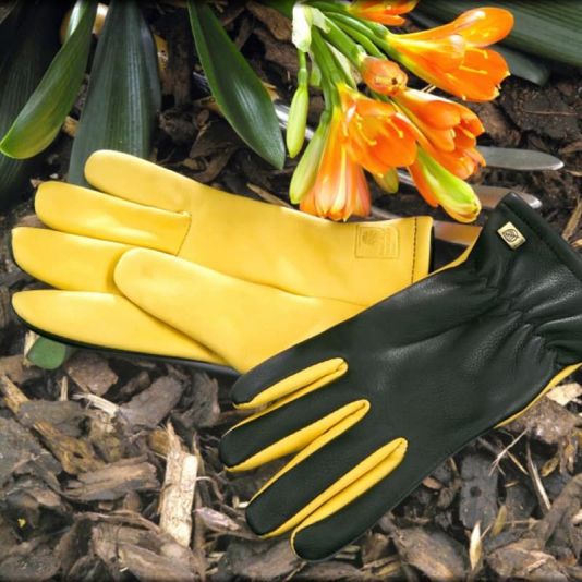 Dry Touch Glove - Gents