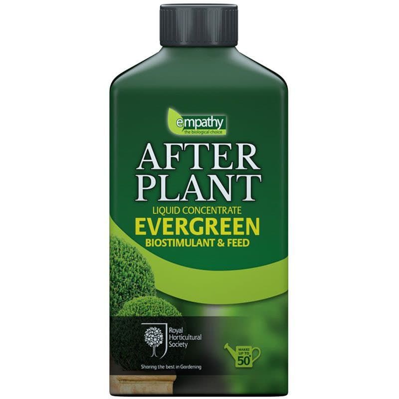 Empathy Afterplant Evergreen