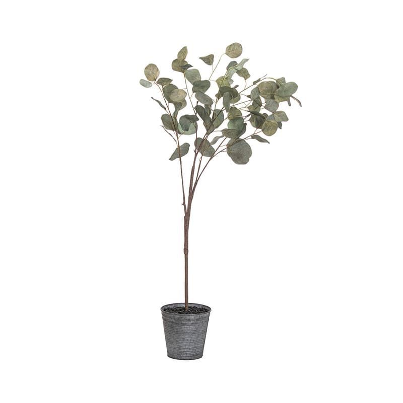 Eucalyptus Tree in Metallic Pot - Small