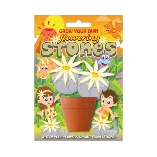 Fun Seed 'Flowering Stones Plant'