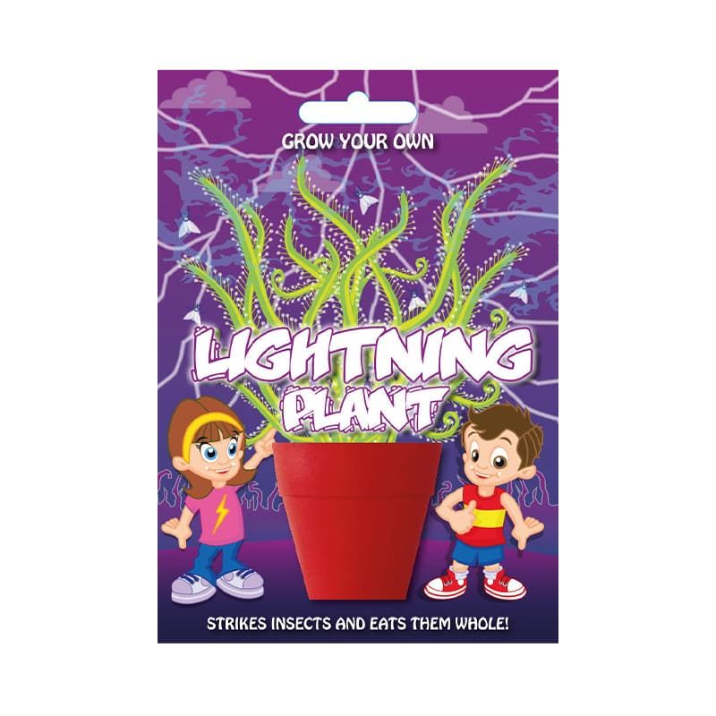 Fun Seed 'Lightening Plant'