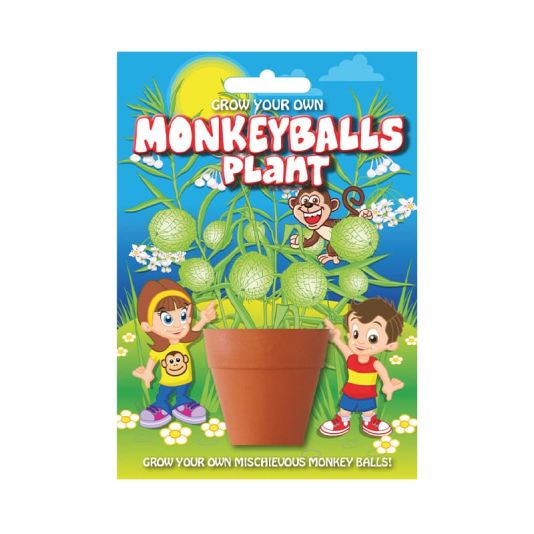 Fun Seed 'Monkey Balls Plant'