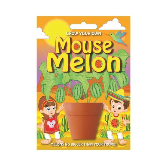 Fun Seed 'Mouse Melon Plant'