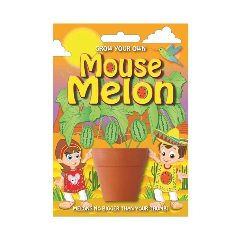 Fun Seed 'Mouse Melon Plant'