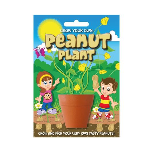 Fun Seed 'Peanut Plant'