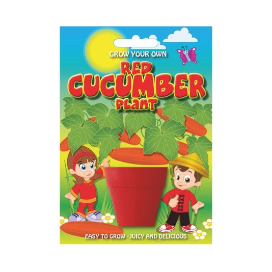 Fun Seed 'Red Cucumber Plant'