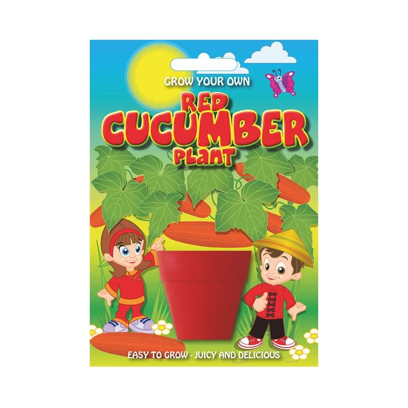 Fun Seed 'Red Cucumber Plant'