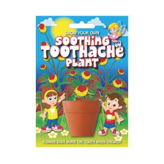 Fun Seed Soothing Toothache Plant
