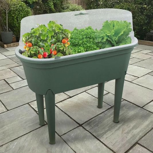 Greenhouse Table with Lid