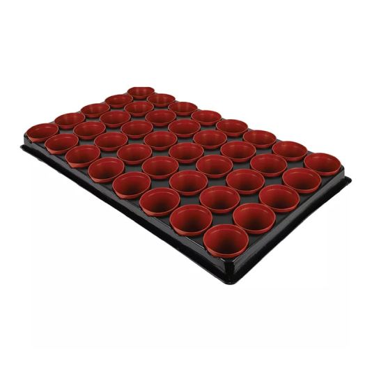 Gro-Sure Growing Tray with 40 Pots
