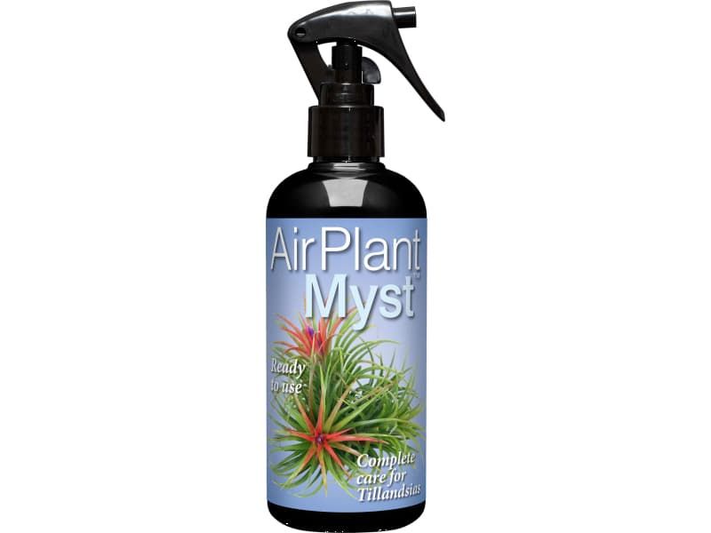 Air Plant MYST 300ml