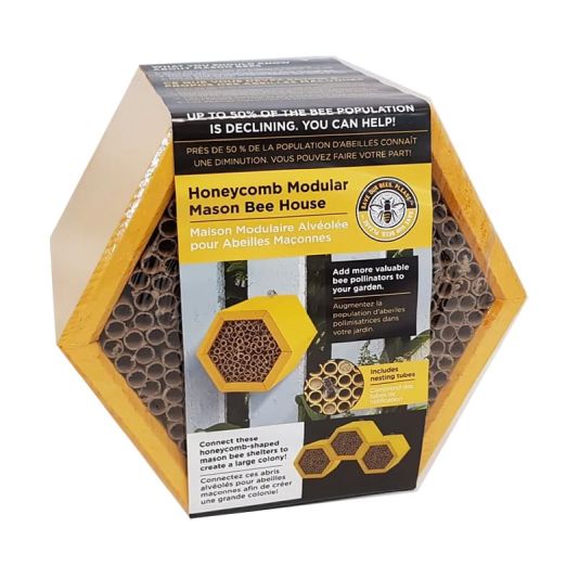 Honeycomb Mason Bee House