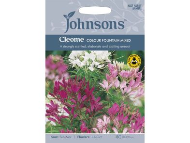 Cleome 'Colour Fountain Mixed' Seeds