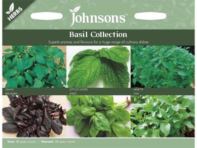 Basil Collection Seeds