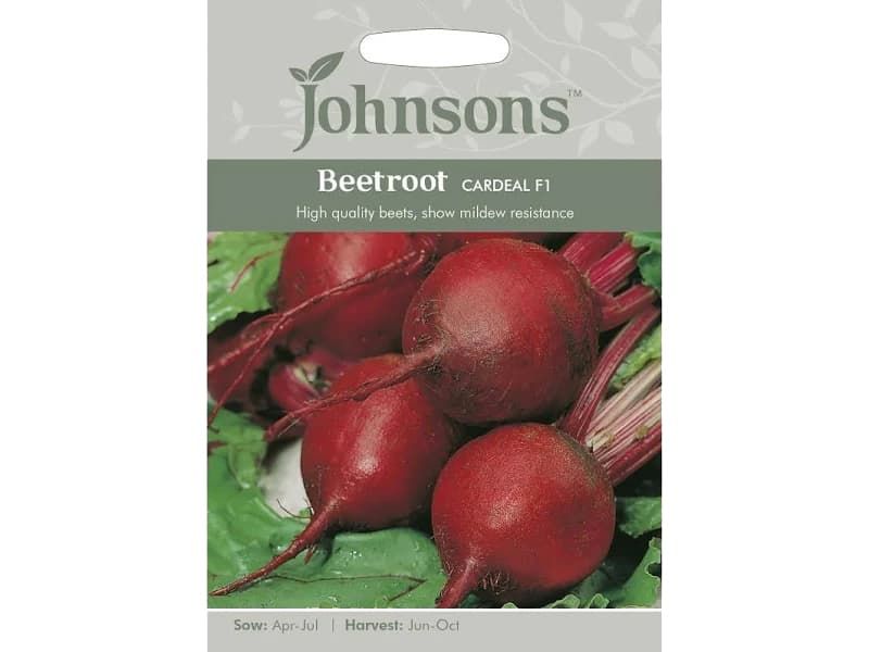 BEETROOT CARDEAL F1