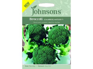 Broccoli (calabrese) 'Matsuri' F1 Seeds