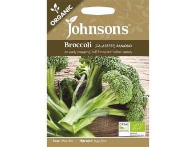 Broccoli (calabrese) 'Ramoso' Organic Seeds