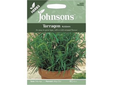 Tarragon 'Russian' Seeds