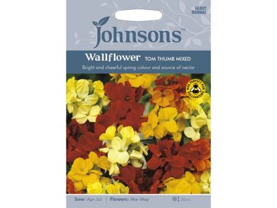 Wallflower 'Tom Thumb' Mixed Seeds