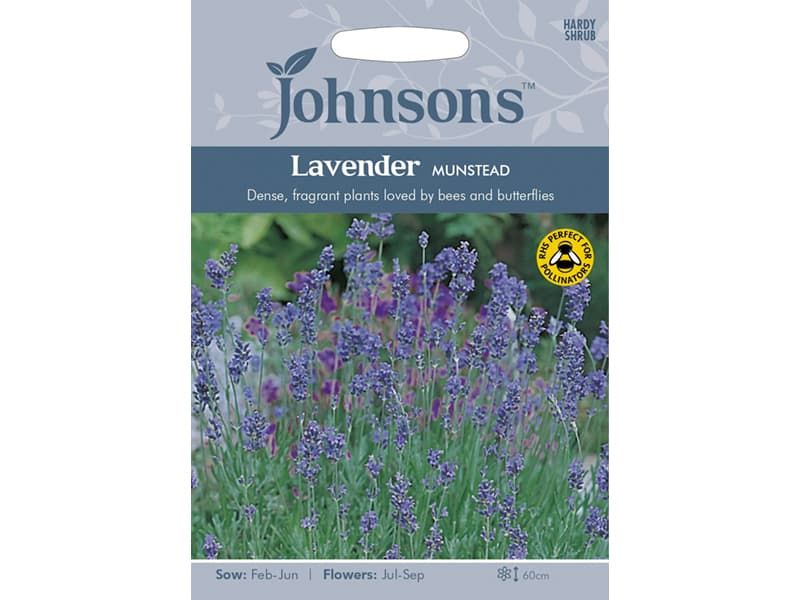Lavender 'Munstead' Seeds