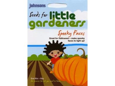 Little Gardeners 'Spooky Face Pumpkins' Seeds
