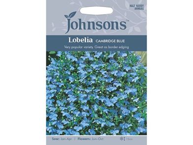 Lobelia (upright) 'Cambridge Blue' Seeds