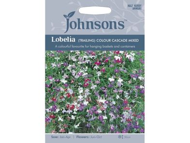 Lobelia (trailing) 'Colour Cascade Mixed' Seeds