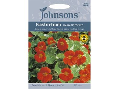 Nasturtium 'Alaska Tip Top Red' Seeds