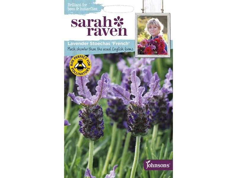 Lavender stoechas 'French' Seeds