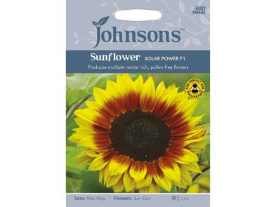 Sunflower 'Solar Power' F1 Seeds