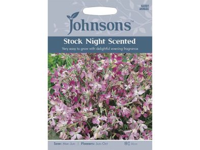 Stock 'Night Scented' Seeds