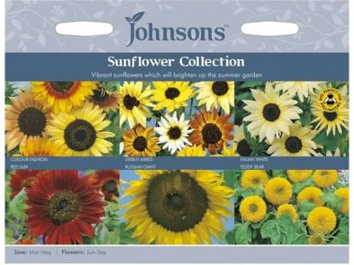 Sunflower Collection Seeds