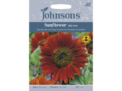 Sunflower 'Red Sun' Seeds