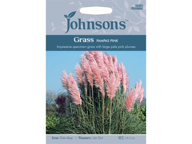 Cortaderia selloana 'Pink' (Pampas Grass) Seeds