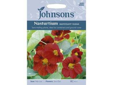Nasturtium 'Mahogany Gleam' Seeds