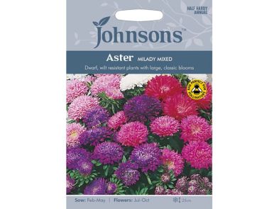 Aster 'Milady Mixed' Seeds