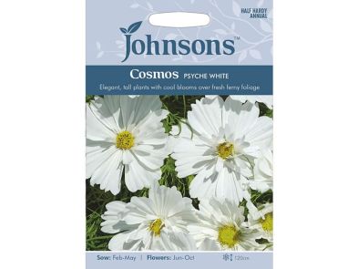 Cosmos 'Psyche White' Seeds