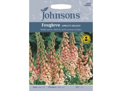 Foxglove 'Apricot Delight' Seeds