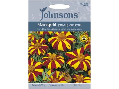 Marigold (French) 'Jolly Jester' Seeds
