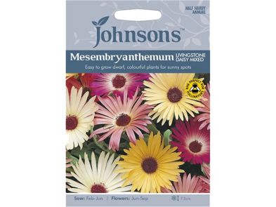 Mesembryanthemum 'Livingstone Daisy Mixed' Seeds
